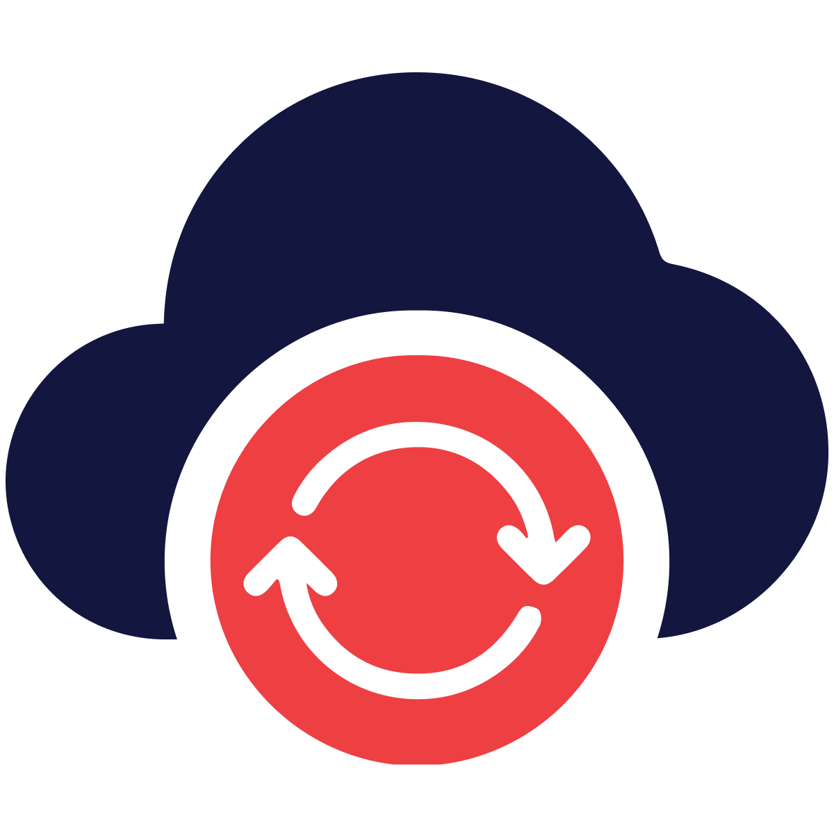 icon-Data Backup-blue+red