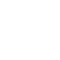 icon-Expert Guidance-red