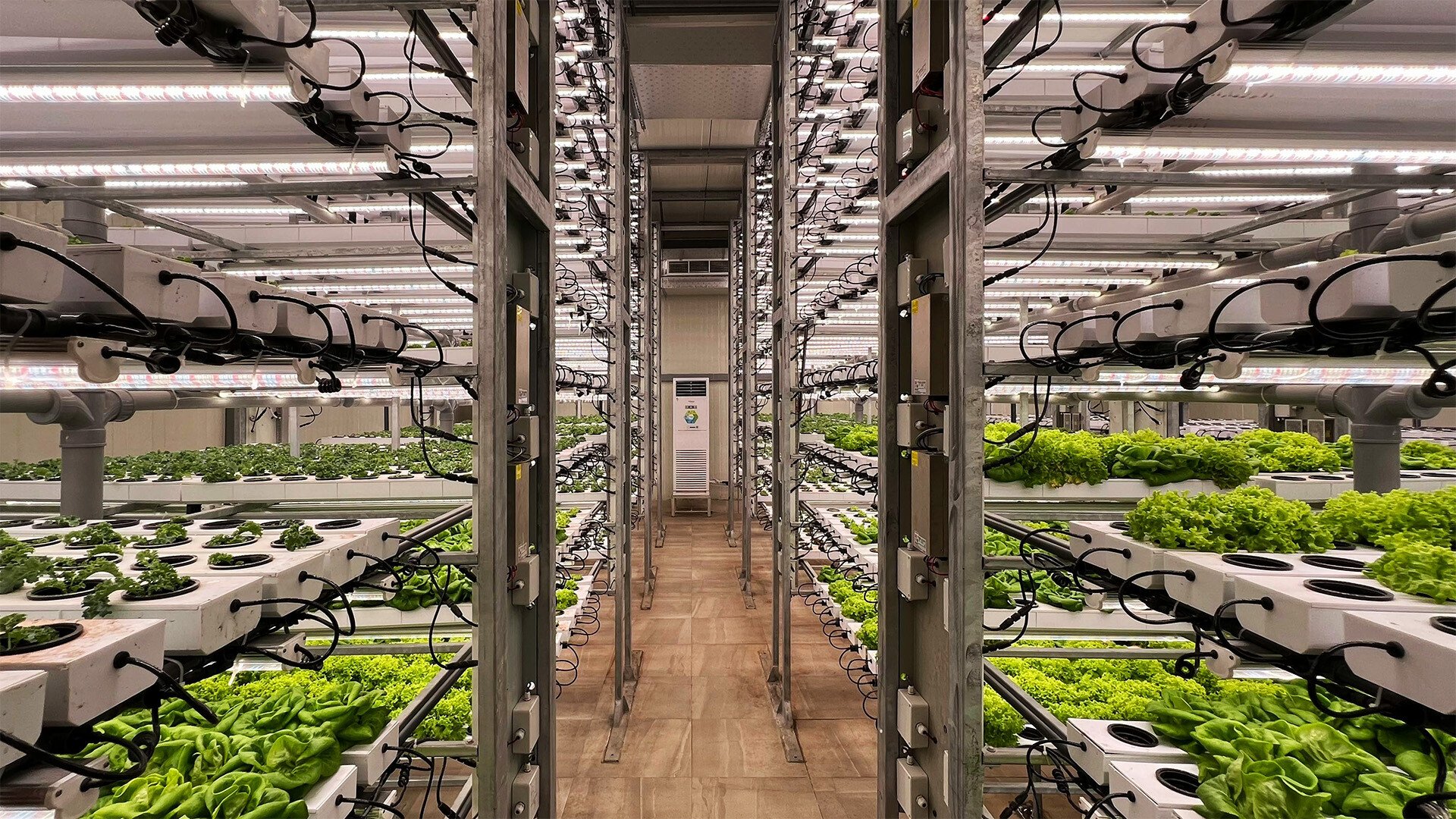Automated Farming